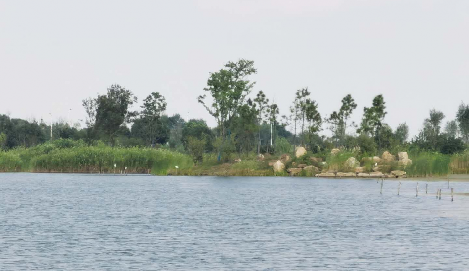 趙志勇：以水而定的韌性城市設計