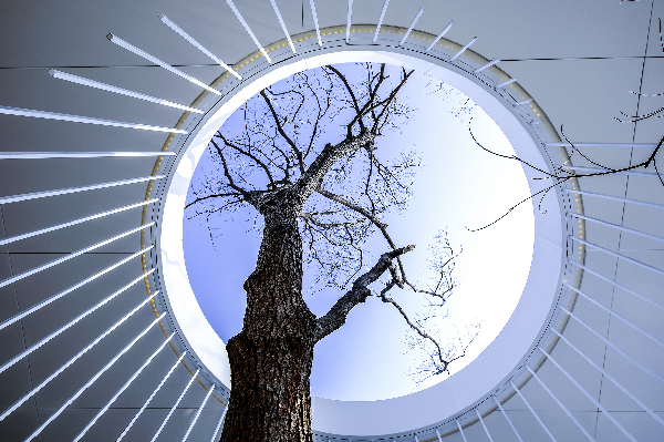 睿住天元丨時光公園·徐州九章賦