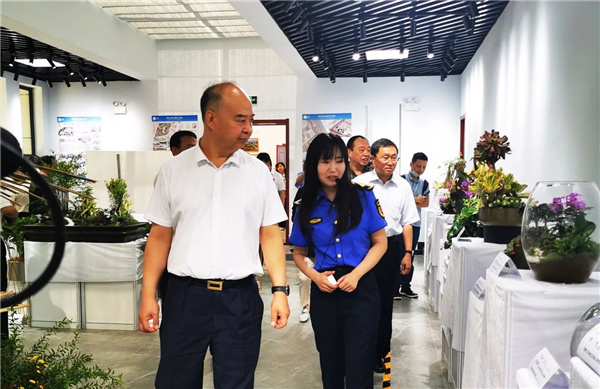 ?張家口市舉辦綠化美化主題活動 展賽結合精彩紛呈