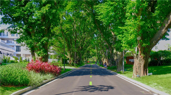 嶺南設計丨東莞鰜魚洲文化創意產業園