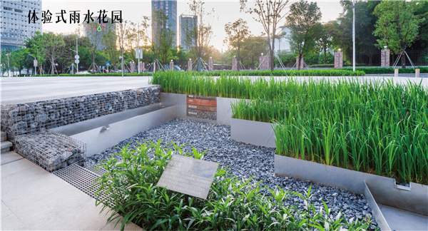 怡境設計丨深圳光明文化藝術中心