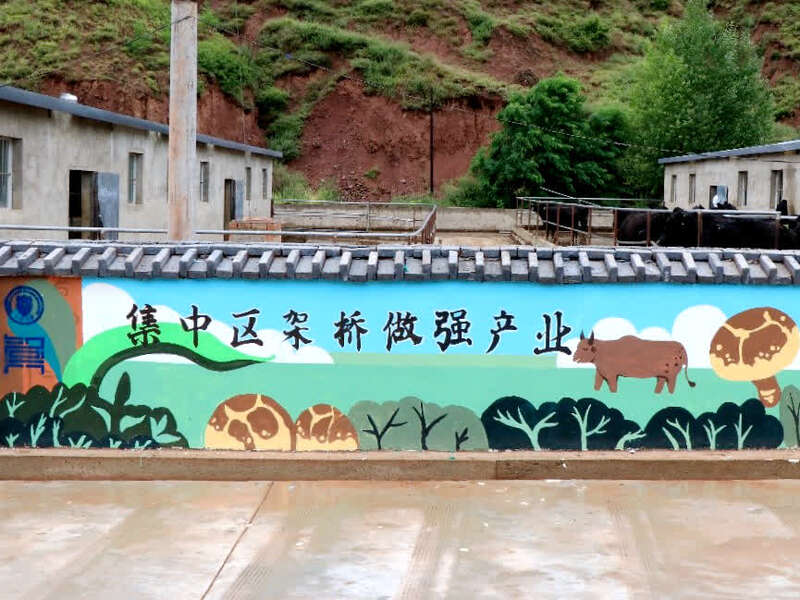 天津大學(xué)用“說話的景觀墻”扮靚美麗鄉(xiāng)村