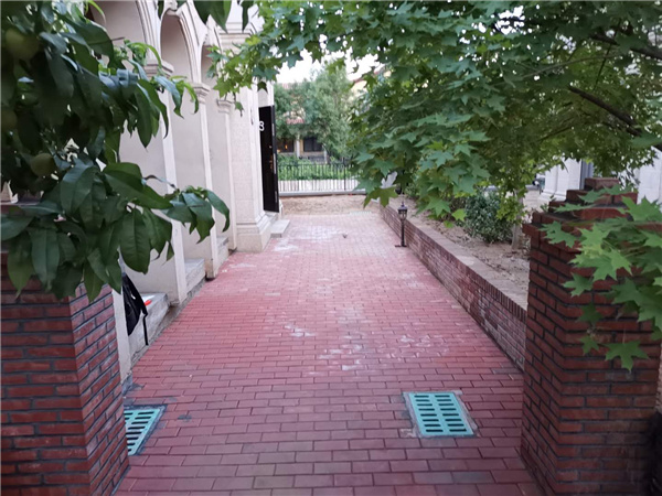 愚工造園丨遠洋傲北