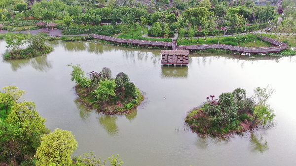 二木丨祥源星球花園