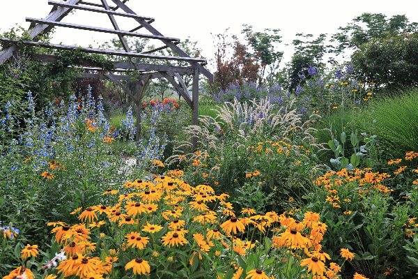 二木丨祥源星球花園