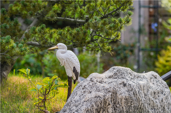 美匯蘭亭丨一生一庭院,亦詩亦遠方
