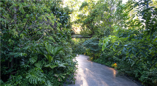 TK Studio丨泰國芳林城市森林館