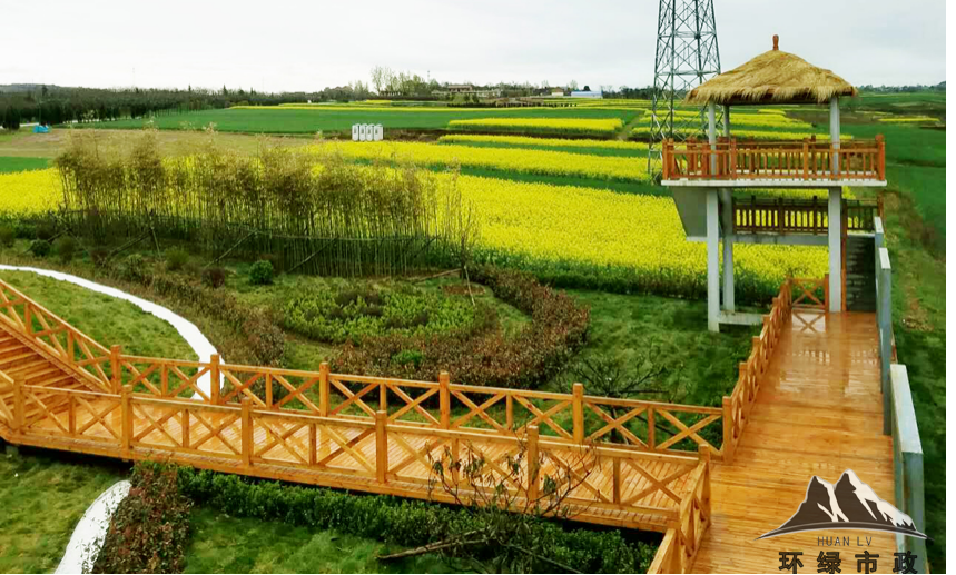 黎妮：為西部美麗鄉村注入新活力