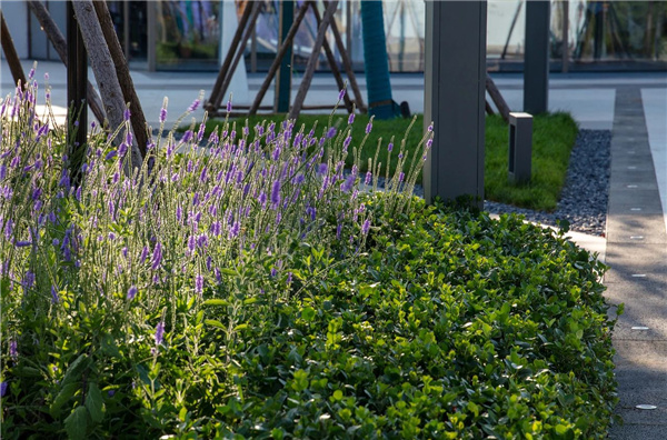 寶佳豐丨遠(yuǎn)洋秦皇島蔚藍(lán)海岸商業(yè)街