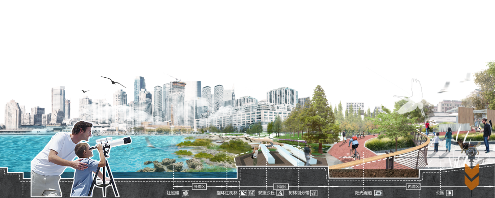 第十二屆園冶杯大學生國際競賽一等獎作品|溯風·重生-基于城市韌性視角下風暴潮適應性防御體系