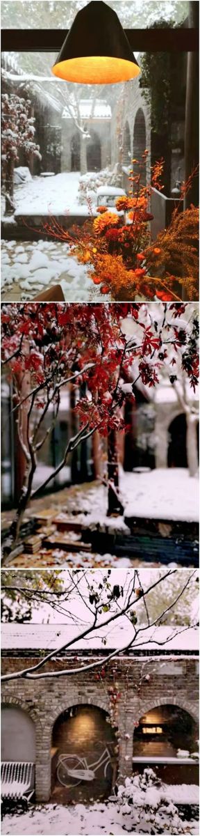 海躍潤園丨老四合院變身記