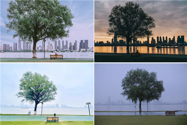 長江左右岸江灘觀光道路景觀