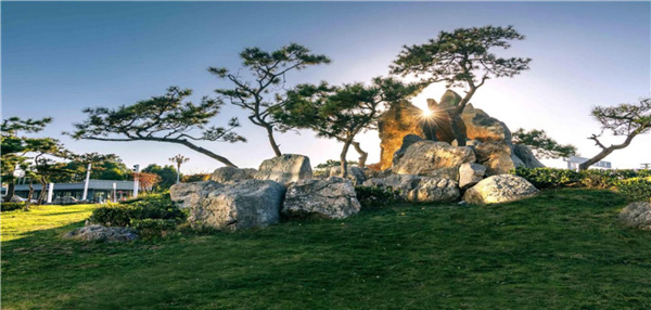 平輿縣縣城綠地景觀提升改造工程設計施工一體化項目（EPC）