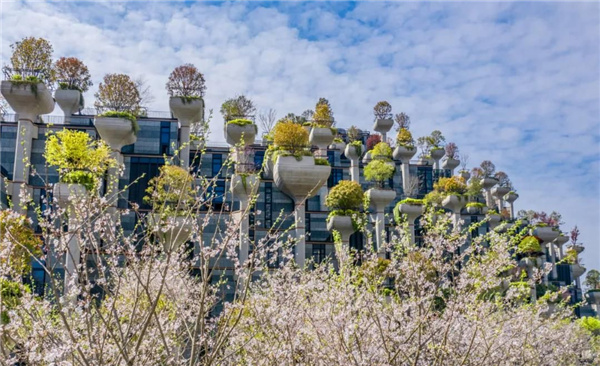 天安千樹濱河花園及一二樓平臺花園