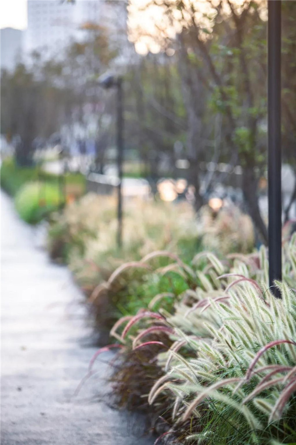 天安千樹濱河花園及一二樓平臺花園