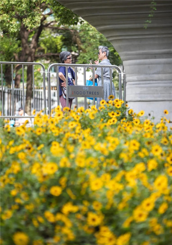 天安千樹濱河花園及一二樓平臺花園