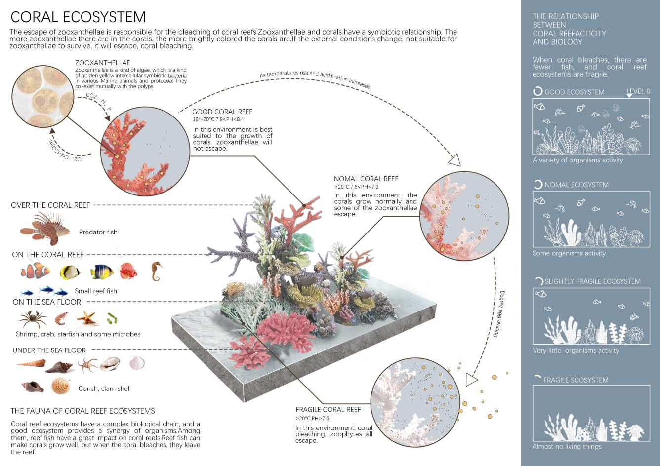 第十二屆園冶杯一等獎(jiǎng)作品《White Crisis——印尼西海岸珊瑚保護(hù)計(jì)劃》解讀