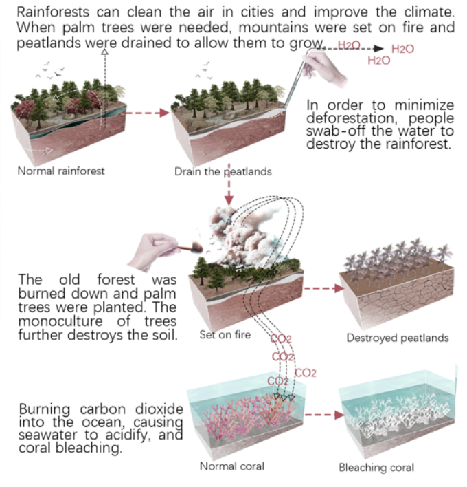 第十二屆園冶杯一等獎(jiǎng)作品《White Crisis——印尼西海岸珊瑚保護(hù)計(jì)劃》解讀