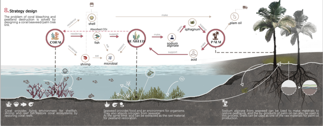 第十二屆園冶杯一等獎(jiǎng)作品《White Crisis——印尼西海岸珊瑚保護(hù)計(jì)劃》解讀