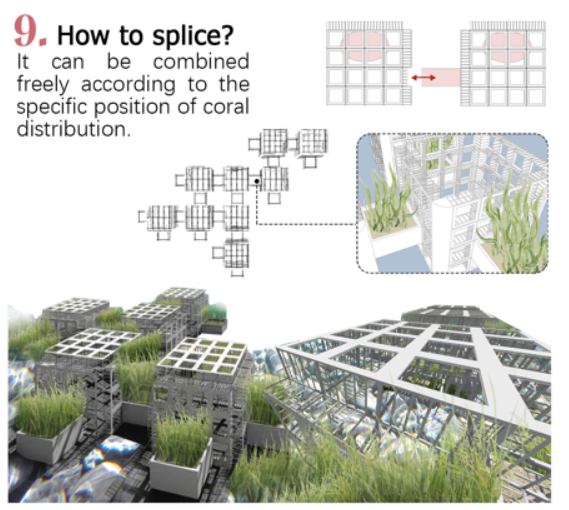 第十二屆園冶杯一等獎(jiǎng)作品《White Crisis——印尼西海岸珊瑚保護(hù)計(jì)劃》解讀