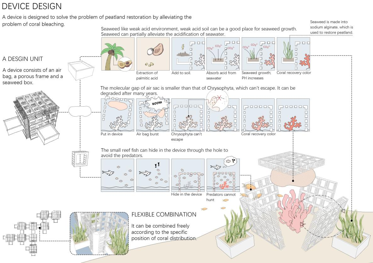 第十二屆園冶杯一等獎(jiǎng)作品《White Crisis——印尼西海岸珊瑚保護(hù)計(jì)劃》解讀