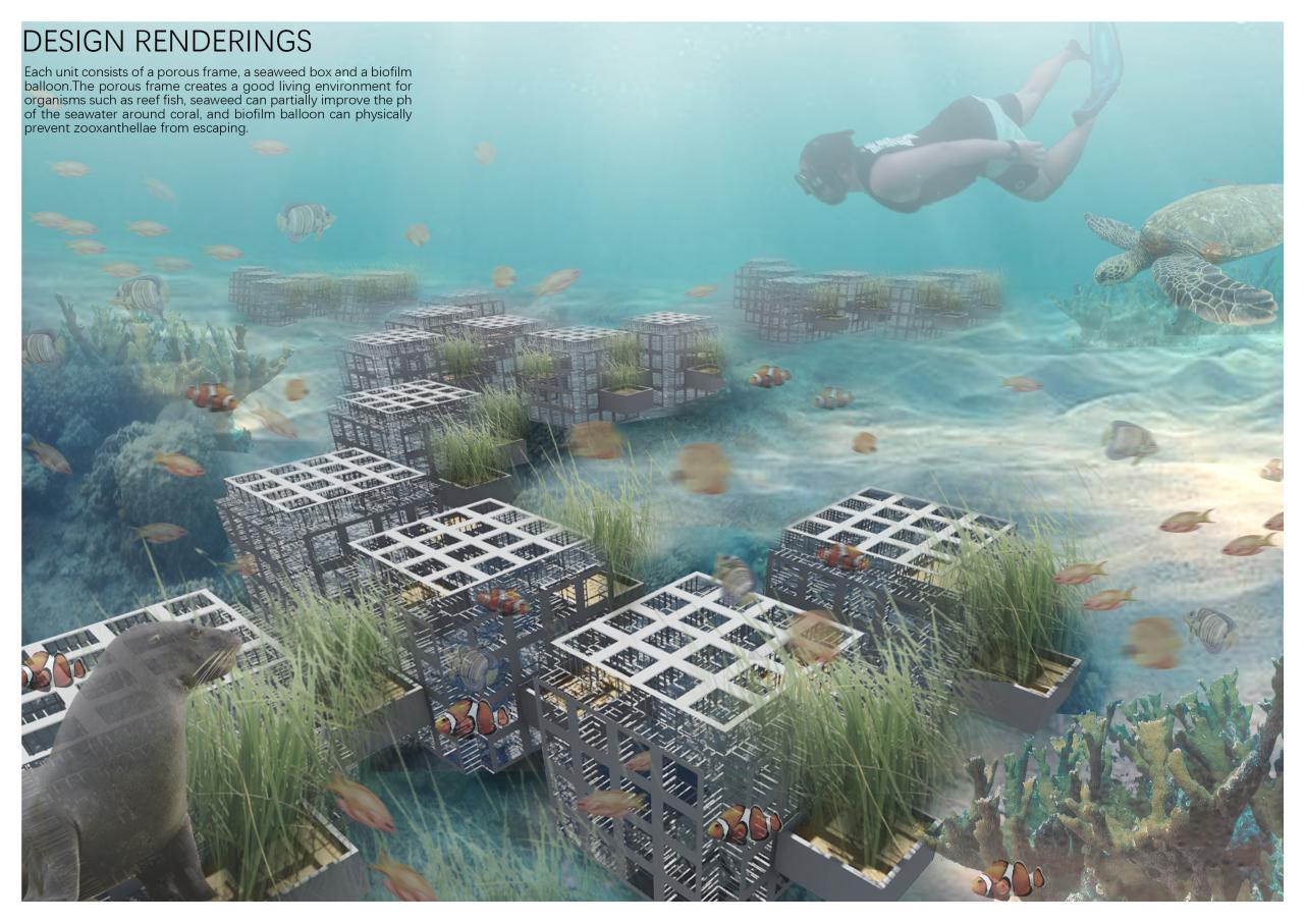 第十二屆園冶杯一等獎(jiǎng)作品《White Crisis——印尼西海岸珊瑚保護(hù)計(jì)劃》解讀