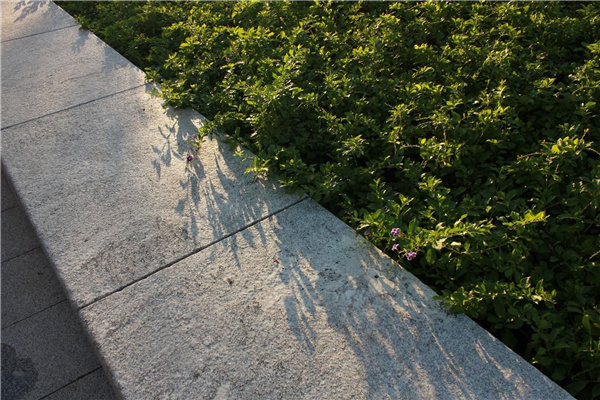 前海國際會議中心