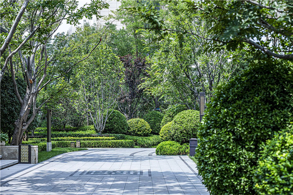 濟南奧體金茂府大區一期