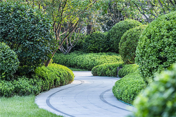 濟南奧體金茂府大區一期