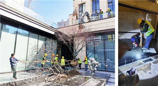 濟南奧體金茂府大區一期