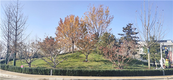 北京環(huán)球影城主題公園配套建設（一期）項目