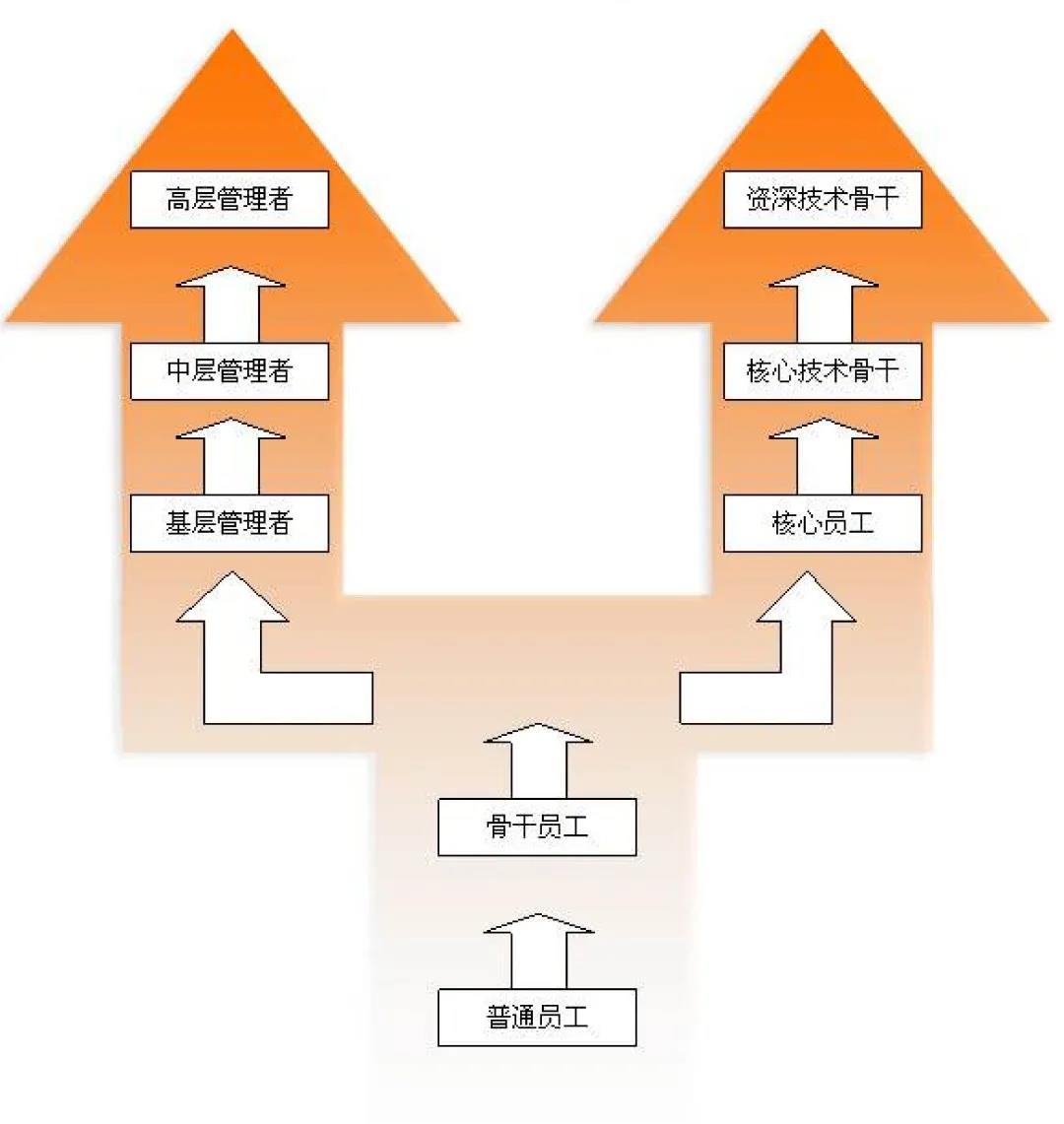 （全國）格林生態丨