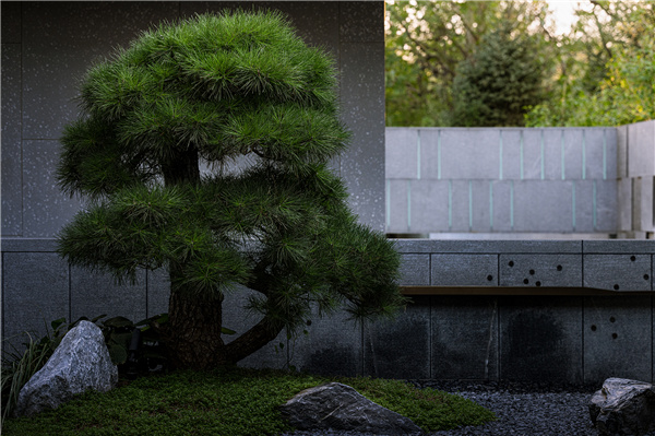 甲南園林丨龍灣某別墅花園設(shè)計(jì)