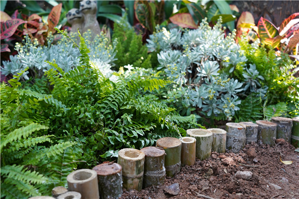 GND杰地景觀丨后海小學未來花園