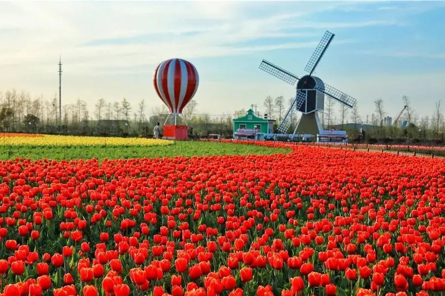 吳必虎：文旅發(fā)展要適應(yīng)“后新冠”