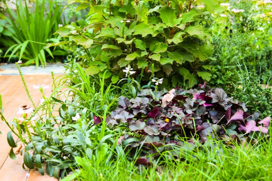 海躍潤園丨北京魯能格拉斯別墅花園