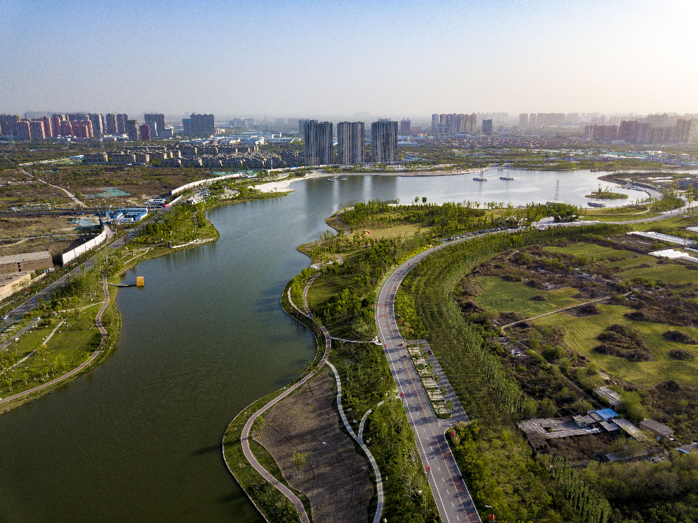 華曦園林葛慧莉:20年只做了一件事