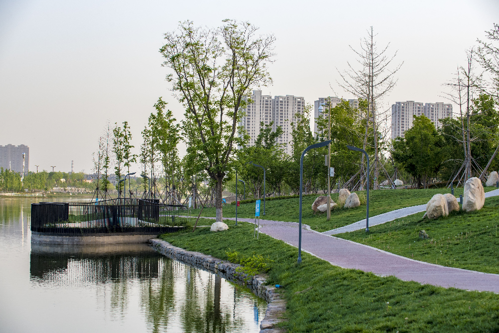 華曦園林葛慧莉:20年只做了一件事