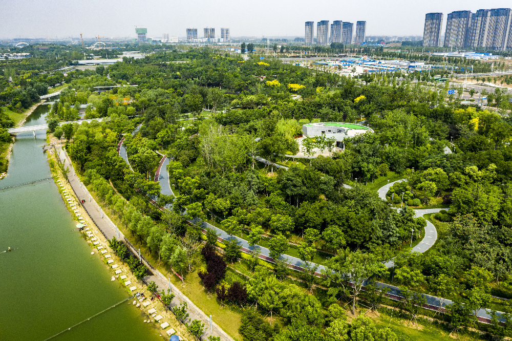 華曦園林葛慧莉:20年只做了一件事