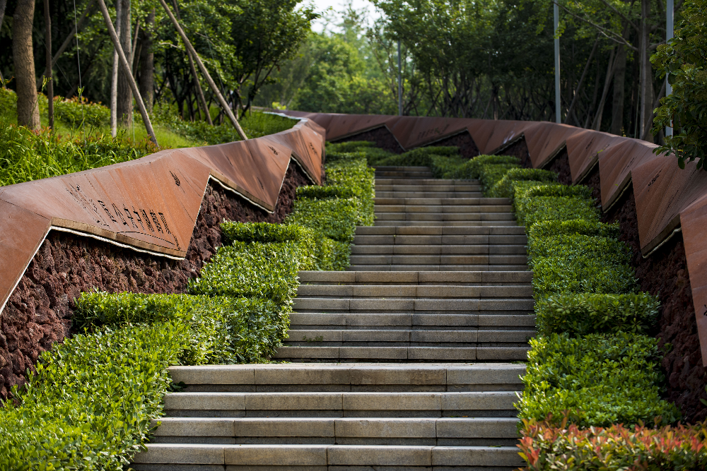 華曦園林葛慧莉:20年只做了一件事