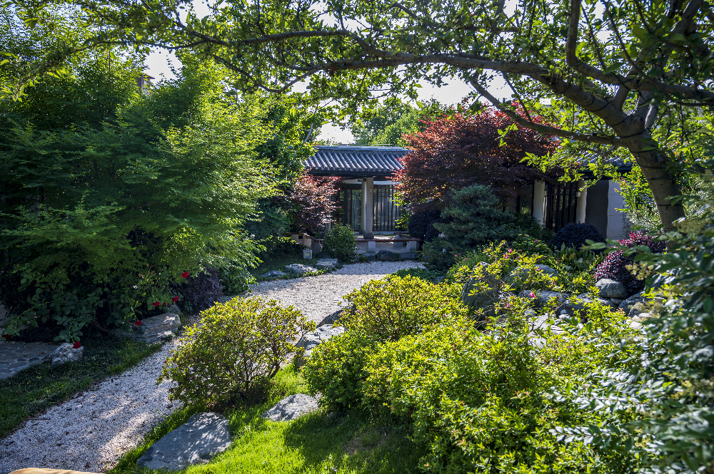 華曦園林葛慧莉:20年只做了一件事