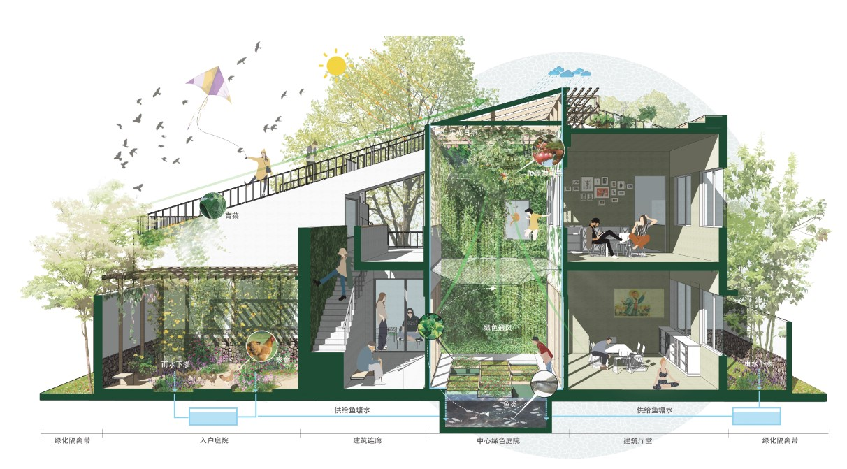 第十三屆園冶杯一等獎(jiǎng)作品|一蔬難求 疫鍵耕新