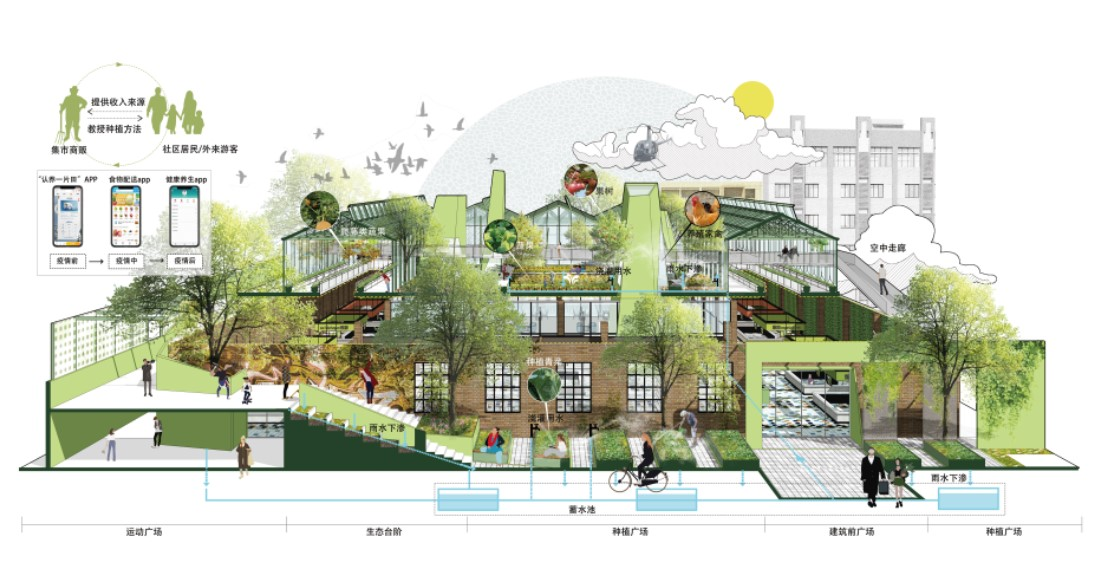 第十三屆園冶杯一等獎(jiǎng)作品|一蔬難求 疫鍵耕新