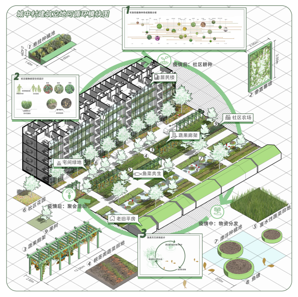 第十三屆園冶杯一等獎(jiǎng)作品|一蔬難求 疫鍵耕新