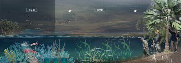 第十三屆園冶杯一等獎作品丨保礁護海共守蔚藍