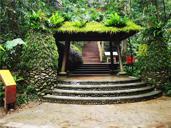 園冶杯金獎(jiǎng)作品丨五指山熱帶雨林谷道修繕項(xiàng)目