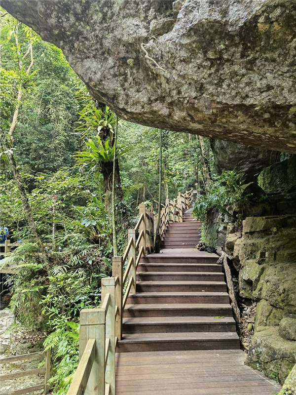 園冶杯金獎(jiǎng)作品丨五指山熱帶雨林谷道修繕項(xiàng)目