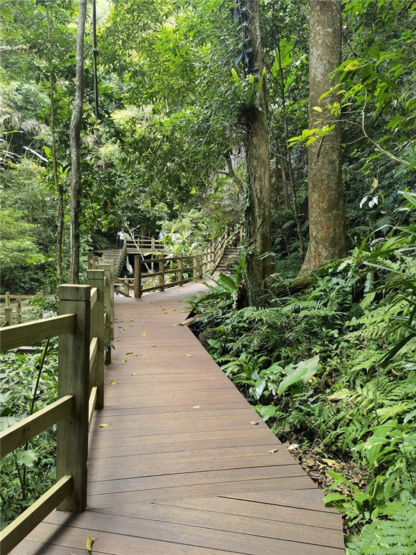 園冶杯金獎(jiǎng)作品丨五指山熱帶雨林谷道修繕項(xiàng)目