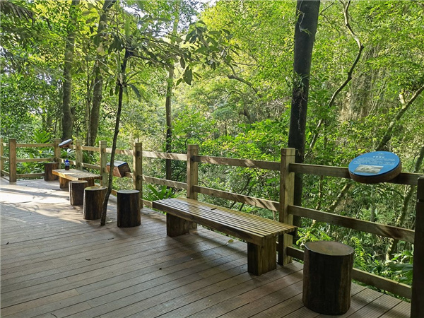 園冶杯金獎(jiǎng)作品丨五指山熱帶雨林谷道修繕項(xiàng)目