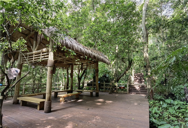 園冶杯金獎(jiǎng)作品丨五指山熱帶雨林谷道修繕項(xiàng)目